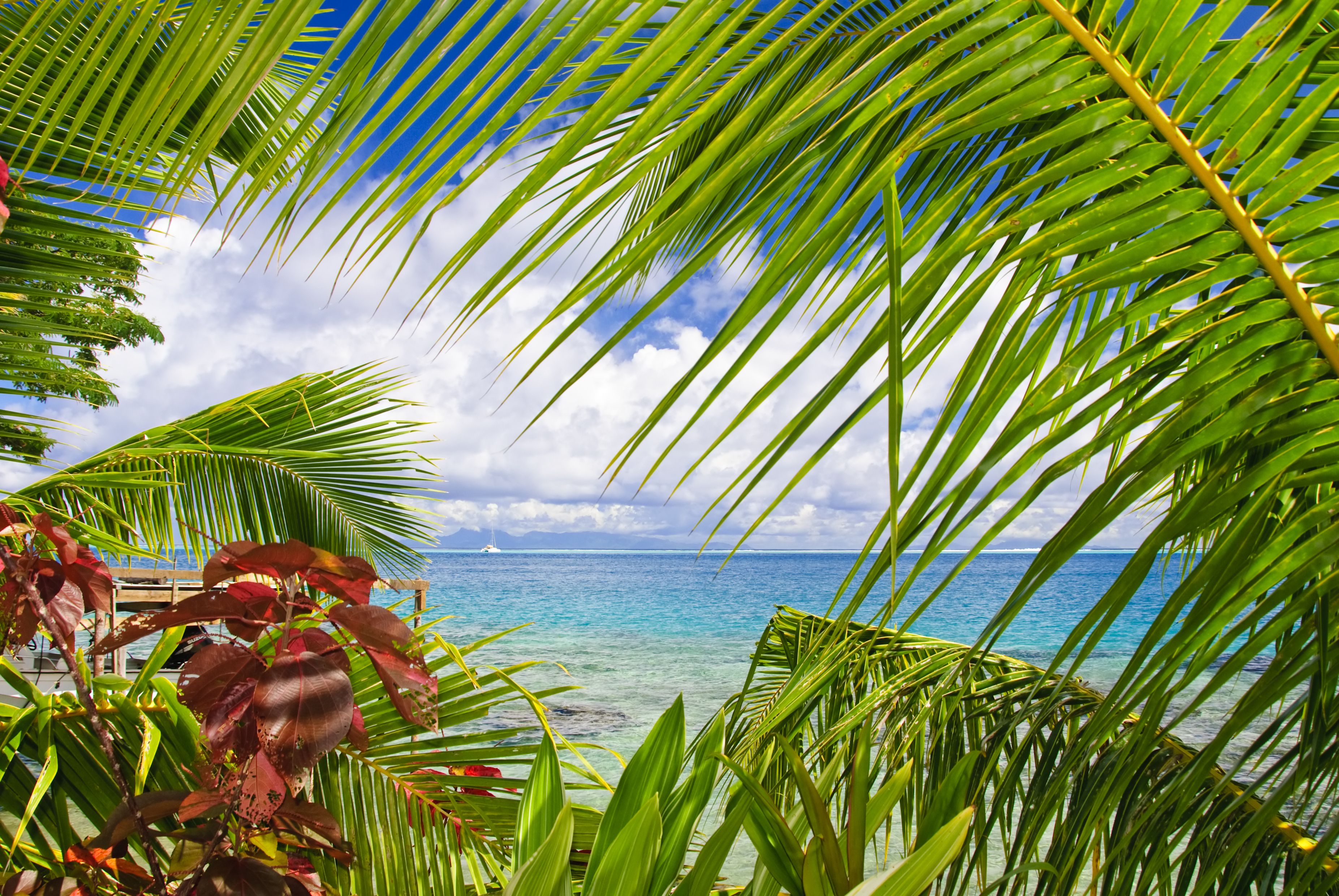 B & Bee Meri Island - Huahine
