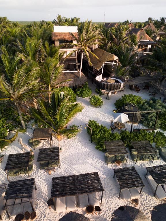 Orchid Beach House Adults Only