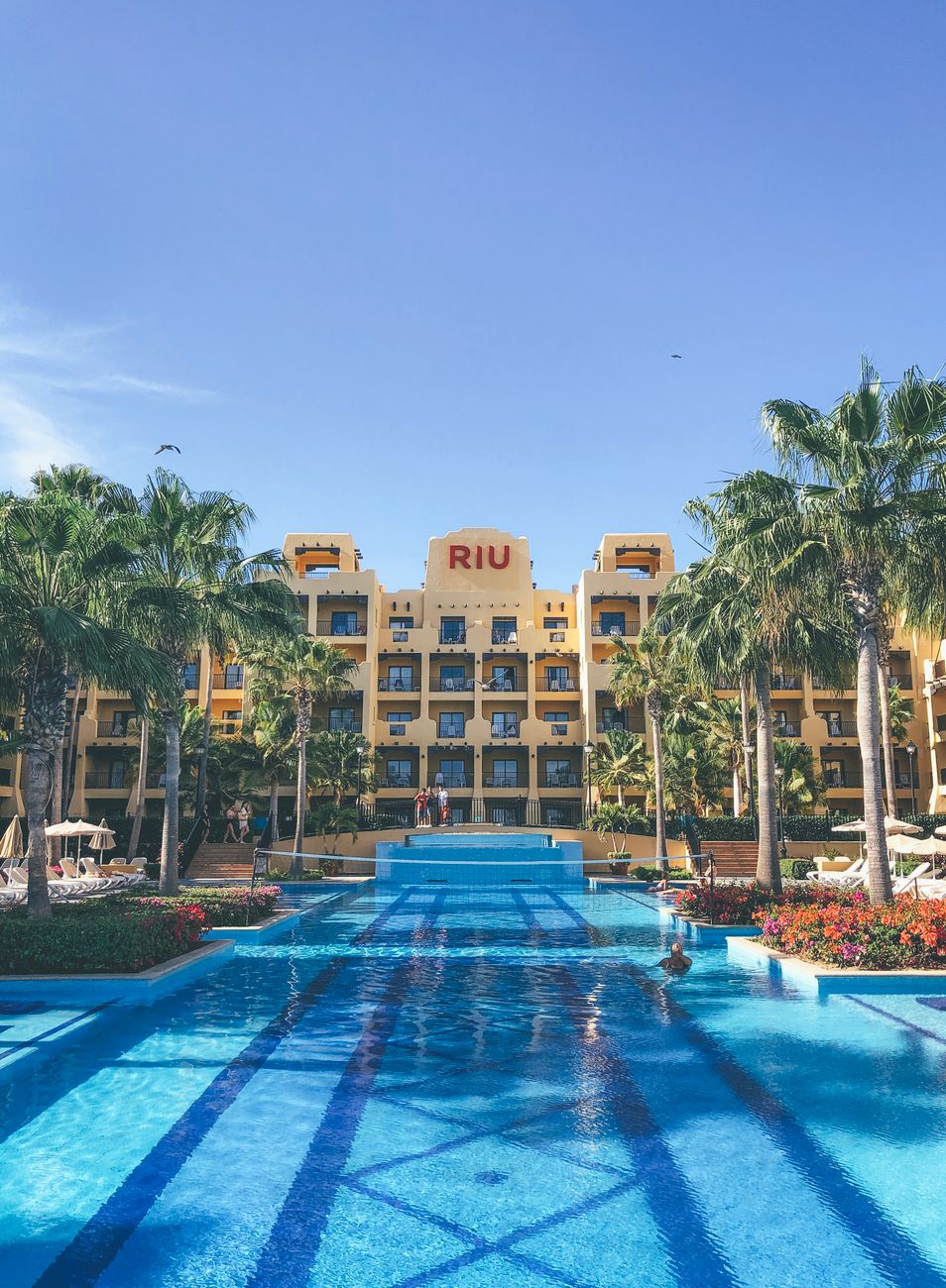 Riu Hotel in Aruba: Your Ultimate Caribbean Getaway